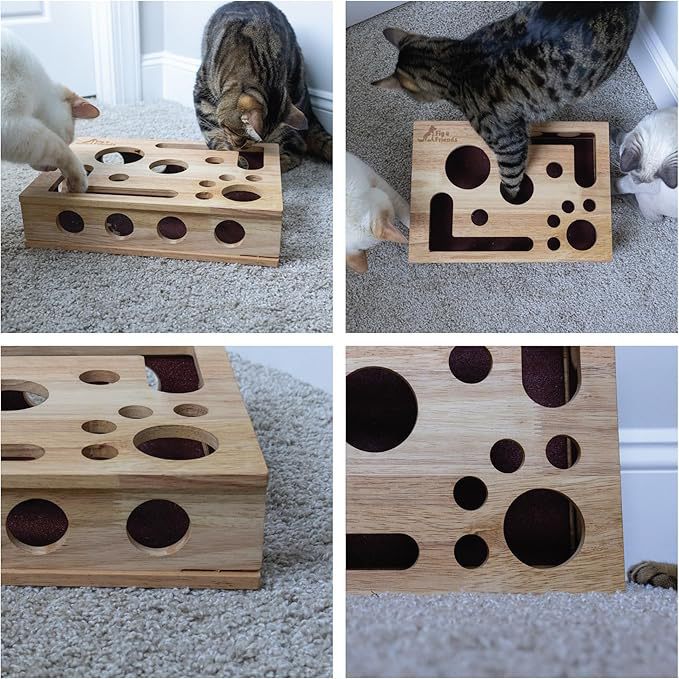 PawPerfect™ Scratch & Play Box 🐾🎯