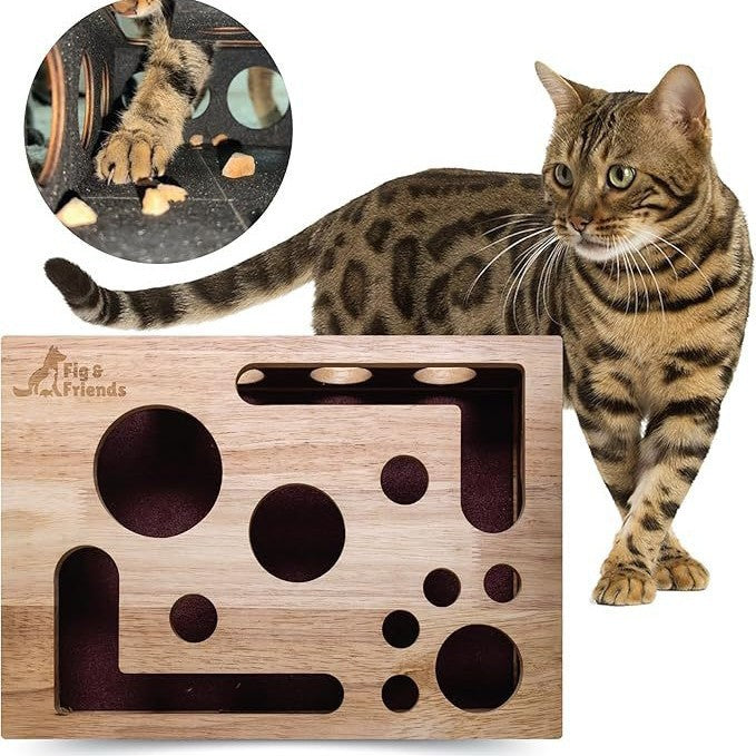PawPerfect™ Scratch & Play Box 🐾🎯