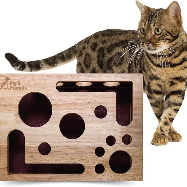PawPerfect™ Scratch & Play Box 🐾🎯