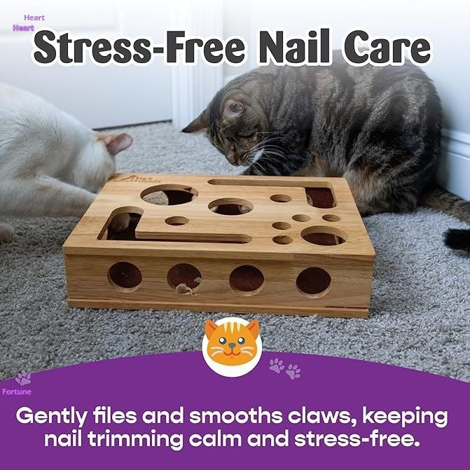 PawPerfect™ Scratch & Play Box 🐾🎯