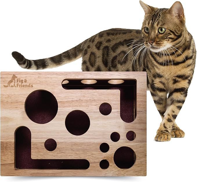 PawPerfect™ Scratch & Play Box 🐾🎯